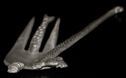 image-03-tnail.png