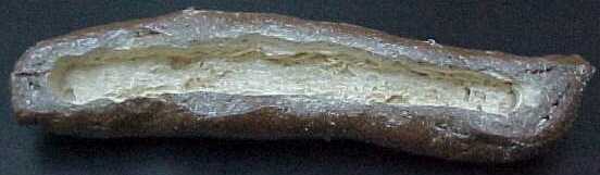 turd2.jpg