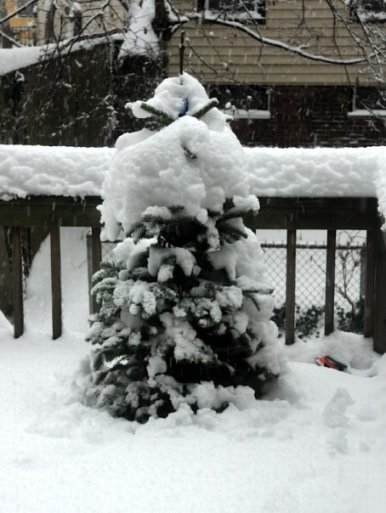 snow1208a.jpg