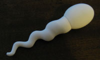 sperm-usb-drive.jpg