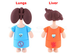 lung-and-liver-usb.jpg