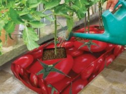 grow-bag-covers-jpg.jpg