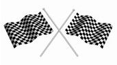 chequered-flag-2.jpg